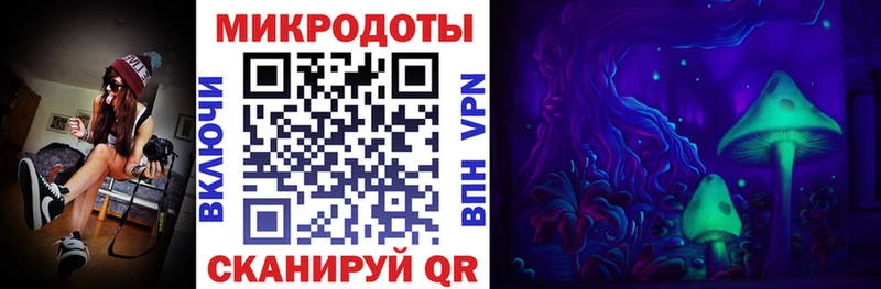 Галлюциногенные грибы Magic Shrooms  где можно купить наркотик  Новотроицк 