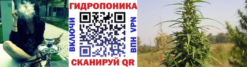 даркнет официальный сайт Новотроицк Каннабис тримм kraken
